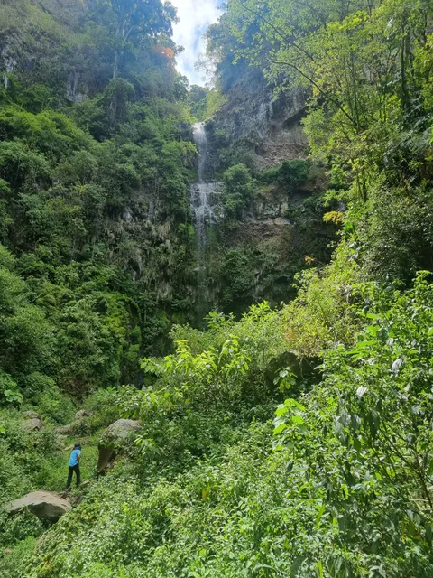 Pipeline Trail (Waterfall)