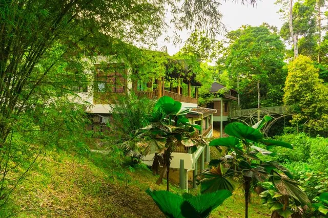 Rainforest Discovery Centre (RDC)