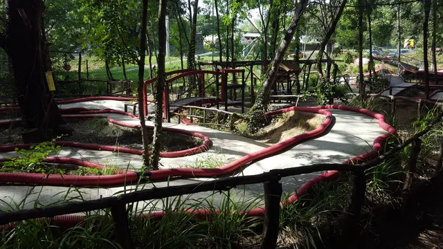 Swingroller city park