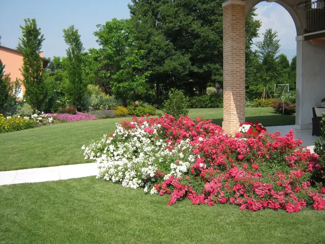 Verde Idea di Botter Michele