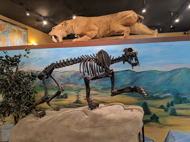Bob Campbell Geology Museum