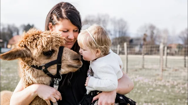 Tier und Alpakaranch Frauental