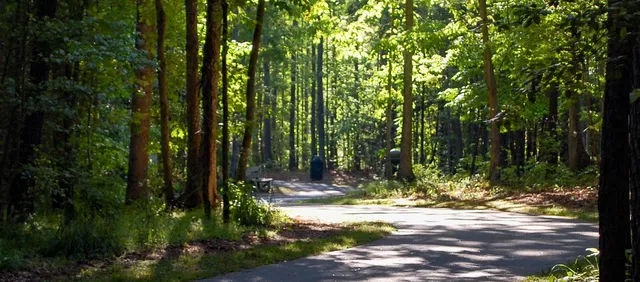 Mill Bridge Nature Park