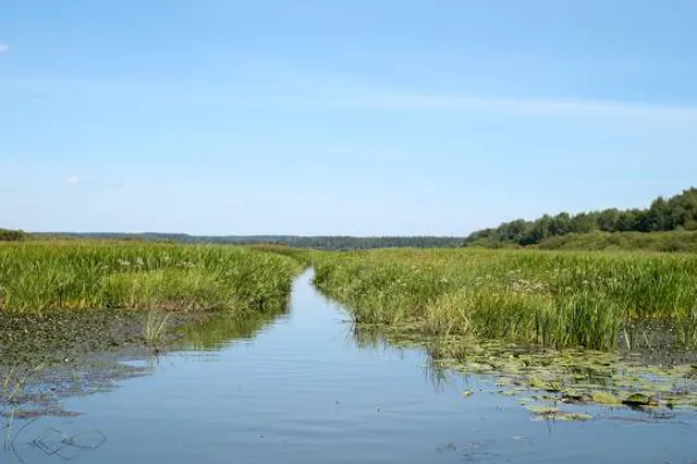 Rezerwat rododendronowców