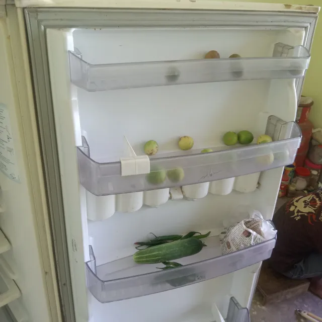 Community organic farming Green Leaf India