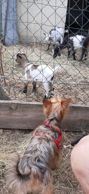 La ferme des Capucins