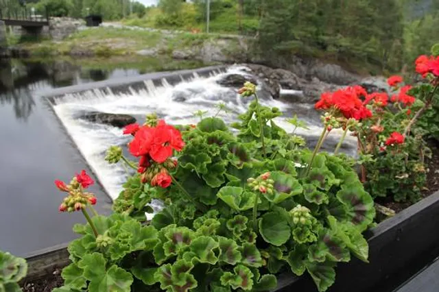 Blaafarveværket and Cobalt mines