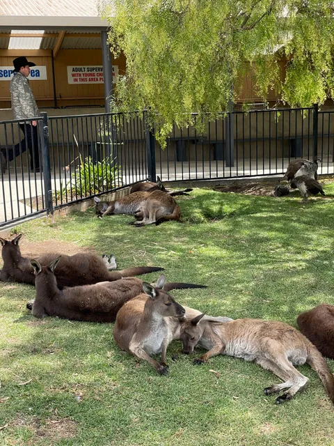 Glen-Forest Tourist Park & Vineyard