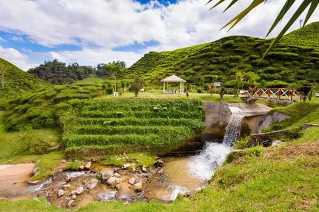 Bharat Tea Plantations Sdn. Bhd.