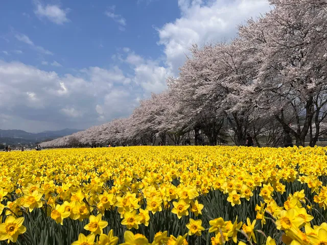 Iwai Waterfront Park