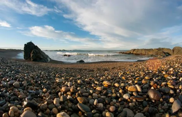 Howells Point Reserve