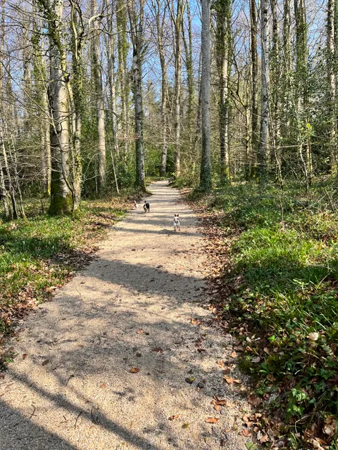 Killashandra Loop Walk