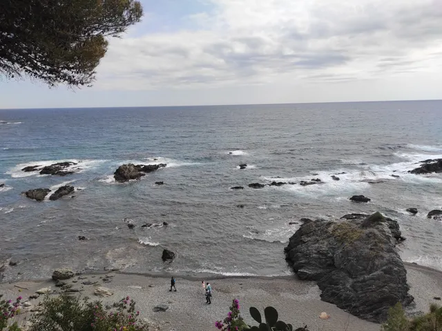 Platja del Molló