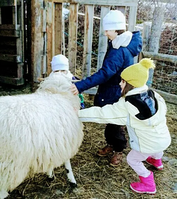 La Petite Ferme des Regains