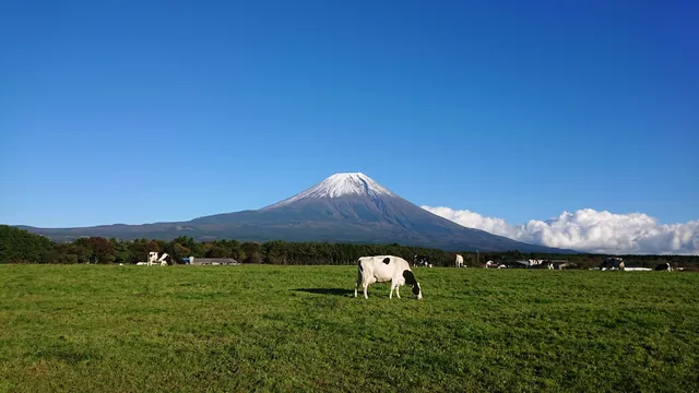 Asagiri Kogen Mochiya