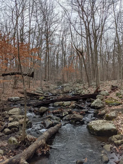 Rockleigh Woods Sanctuary
