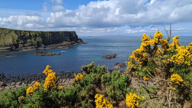 Causeway Coast Area of Outstanding Natural Beauty
