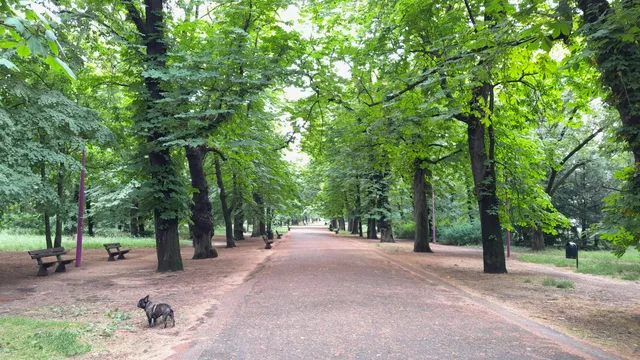 Władysław-Anders-Park