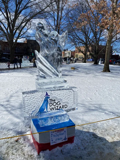 Medina Ice Festival