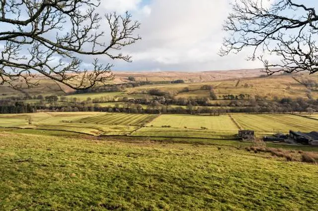 Distant Hill Gardens - Open the third weekend in May, and the first & third weekend, June through October