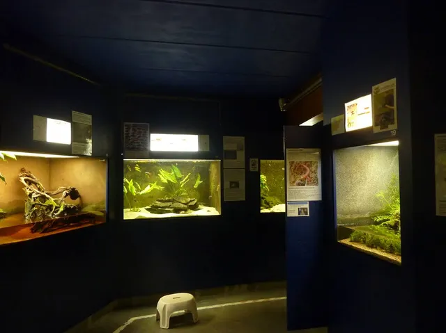 Brussels Aquarium