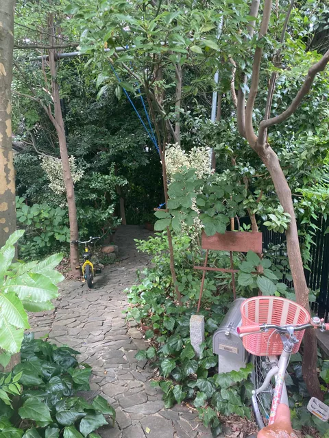 photo-1
