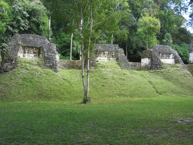photo-1
