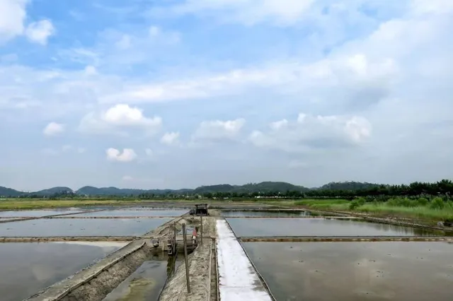 Gimpo Hangang Wild Bird Ecology Park