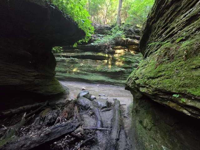 Turkey Run State Park Nature Center