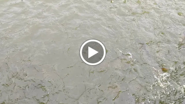 Nanda Bar And Restaurant