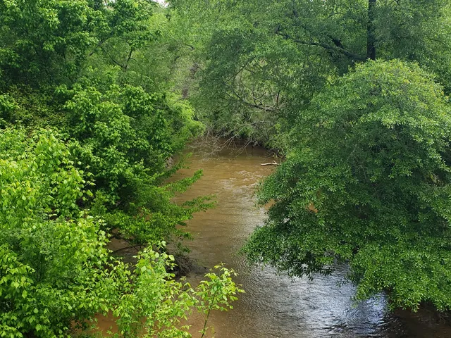 Sam's Branch Greenway