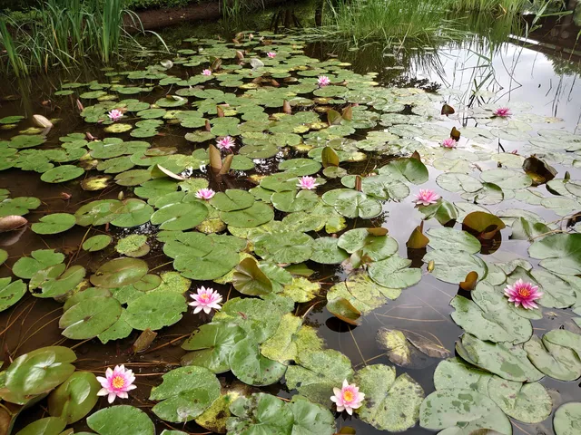 Oirinoshissei Botanical Gardens