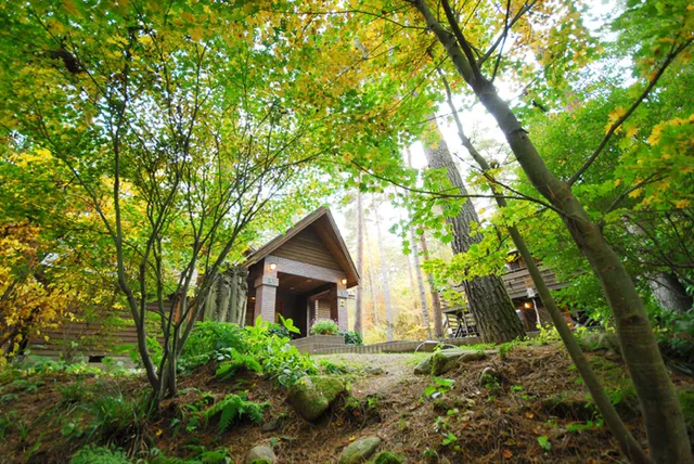 Morinoouchi Picture Book Museum