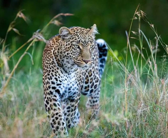 Jean-Marie Pelt Gardens - Seille Park
