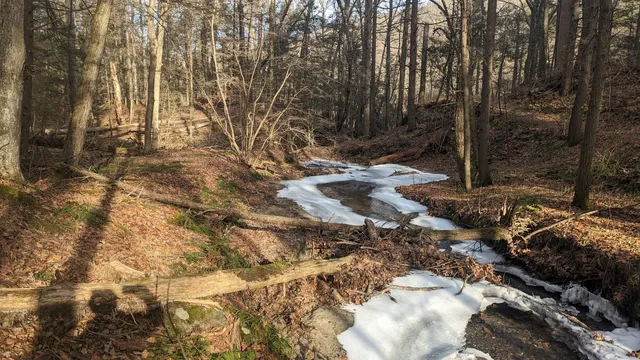 Pawling Nature Reserve