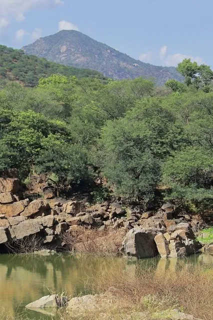 HOGENAKKAL FALLS BOATMAN THIRUMALAI