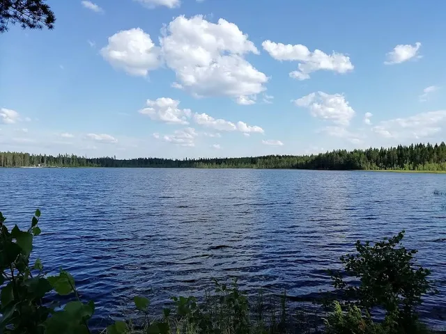 Säläisjärvi