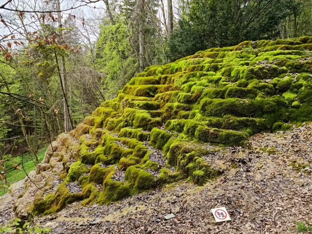 Hoher Brunnen bei Sollngriesbach