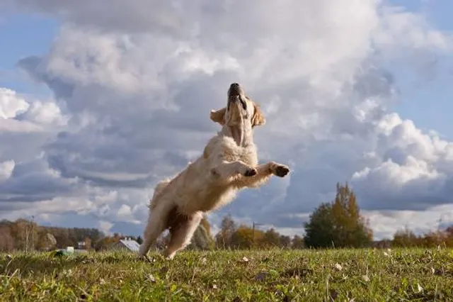 Samut Sakhon Aquarium