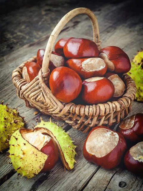 CONKERS