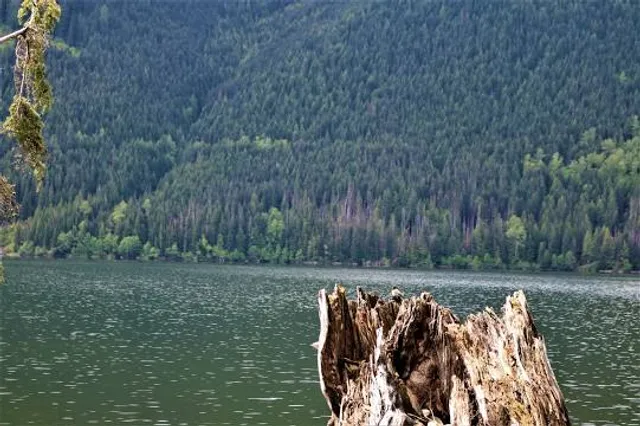 Jones Lake State Park