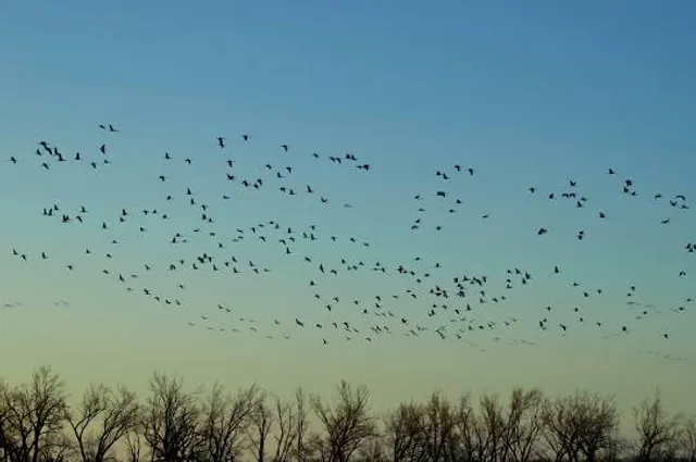 Iain Nicolson Audubon Center at Rowe Sanctuary