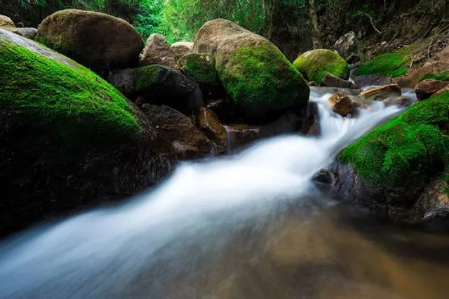 Reserva Natural El Zoque