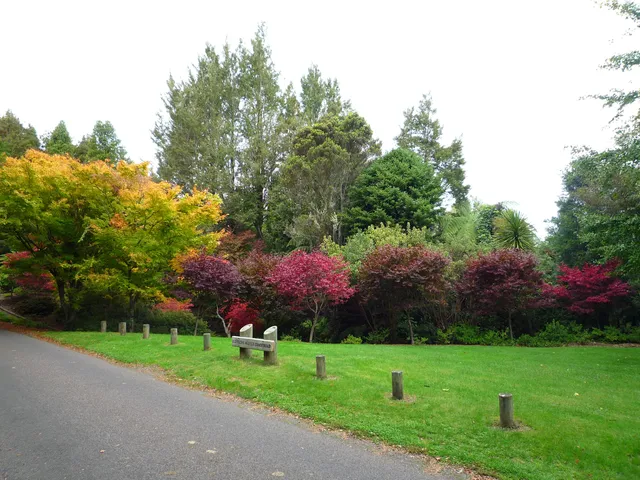 Waipahihi Botanical Reserve