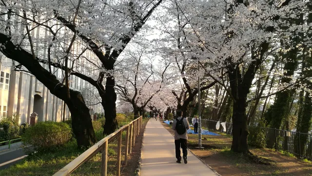 Gobanchō Children's Playground