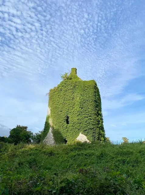 Tuam Municipal District 2014-2019