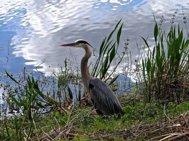 Wild and leisure park Ostrittrum