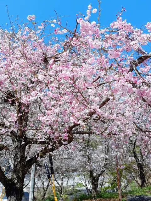 Yoshiikawa Kasen Park