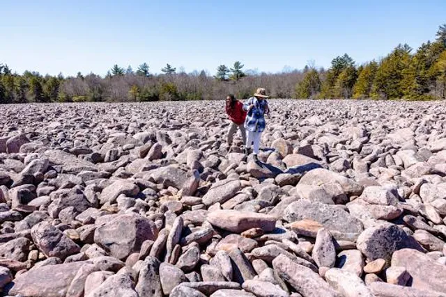 Hickory Run Boulder Field