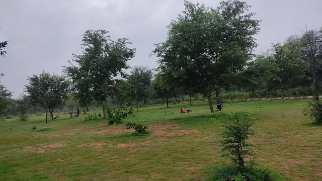 Biodiversity Forest Govindpura, Jhotwara
